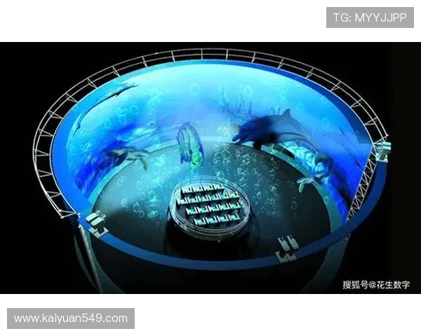 大发娱乐线上手机版高品质画面，带来沉浸式的视觉体验